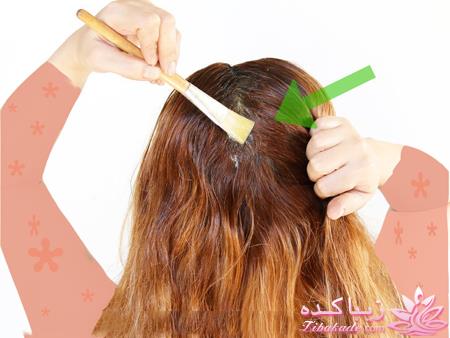 من شما را به چالش دعوت میکنم!